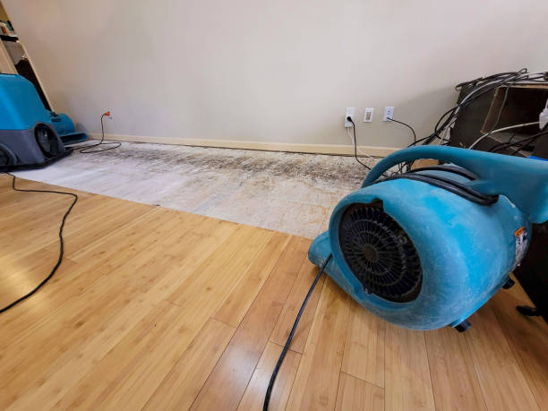 Professional Water Extraction technician working in Kalkaska, MI